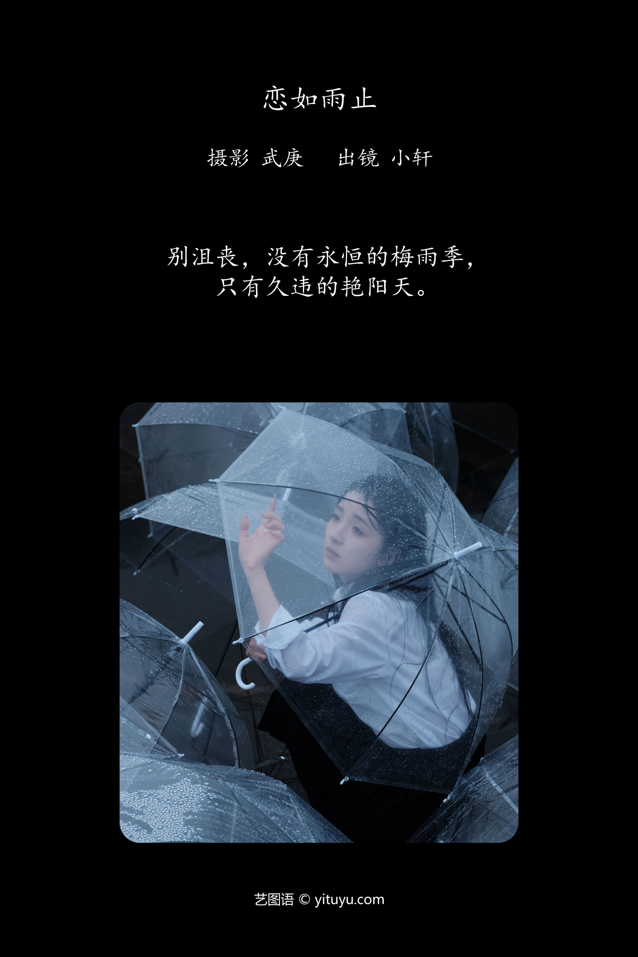 雨中恋曲：情愫绵延如雨滴落下