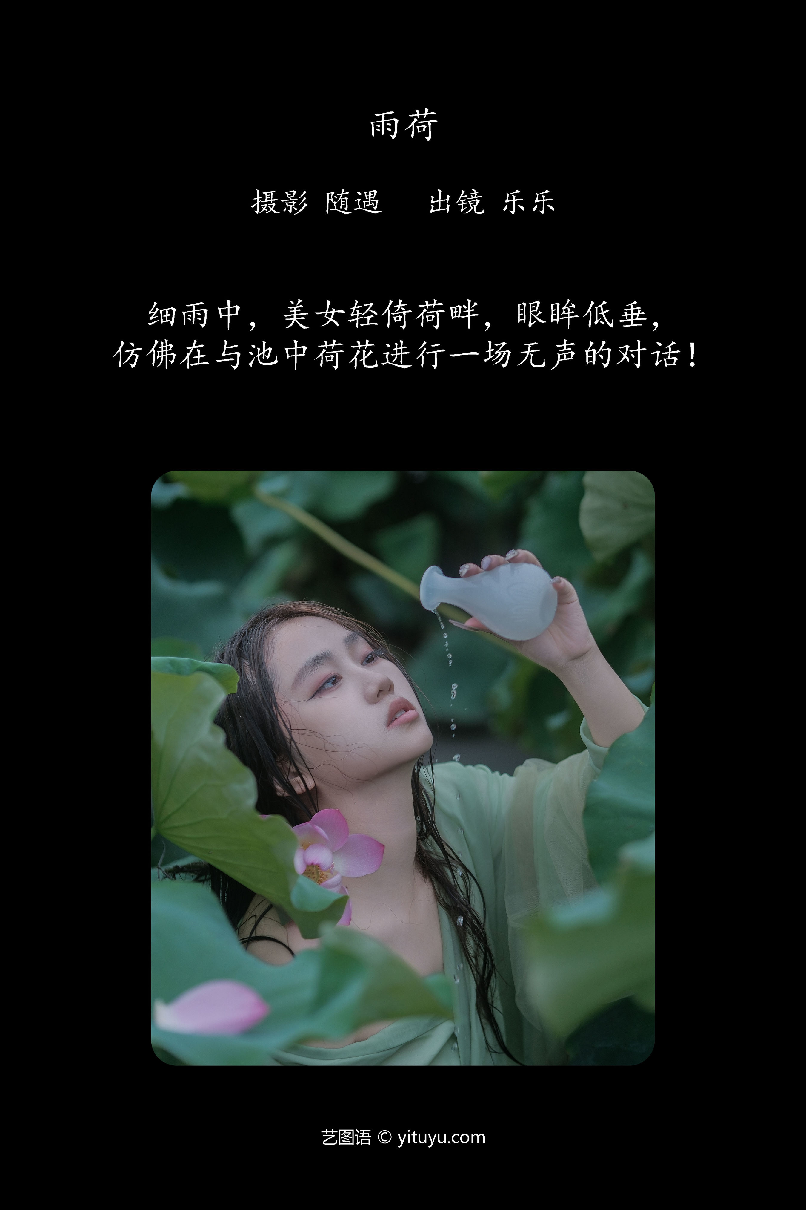 雨荷之美：绽放生命光彩的诗意画卷。