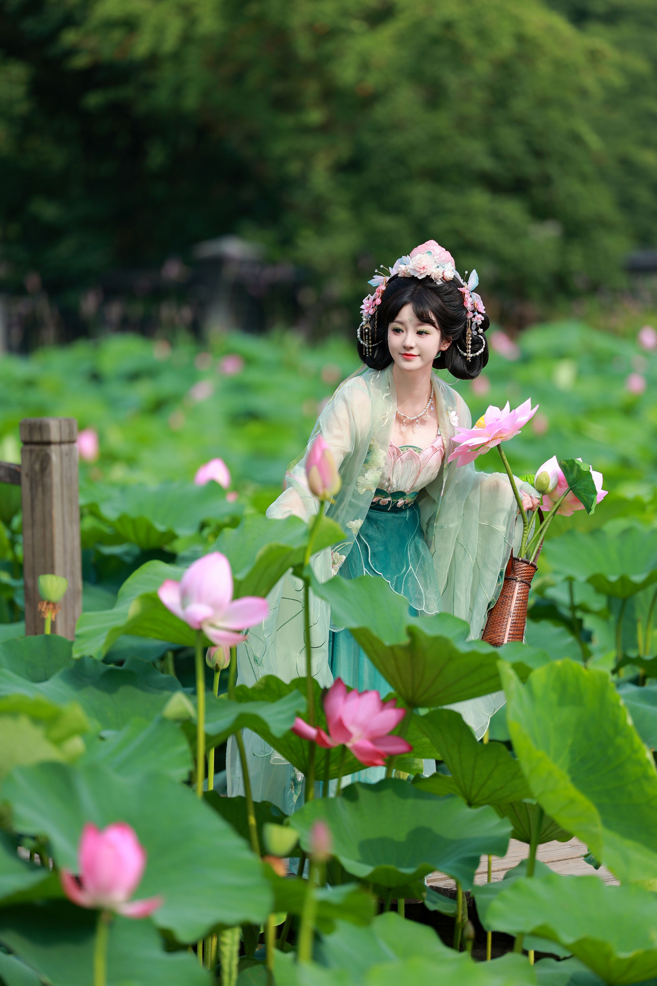 十里芙蕖：繁花似锦，诗意盎然。