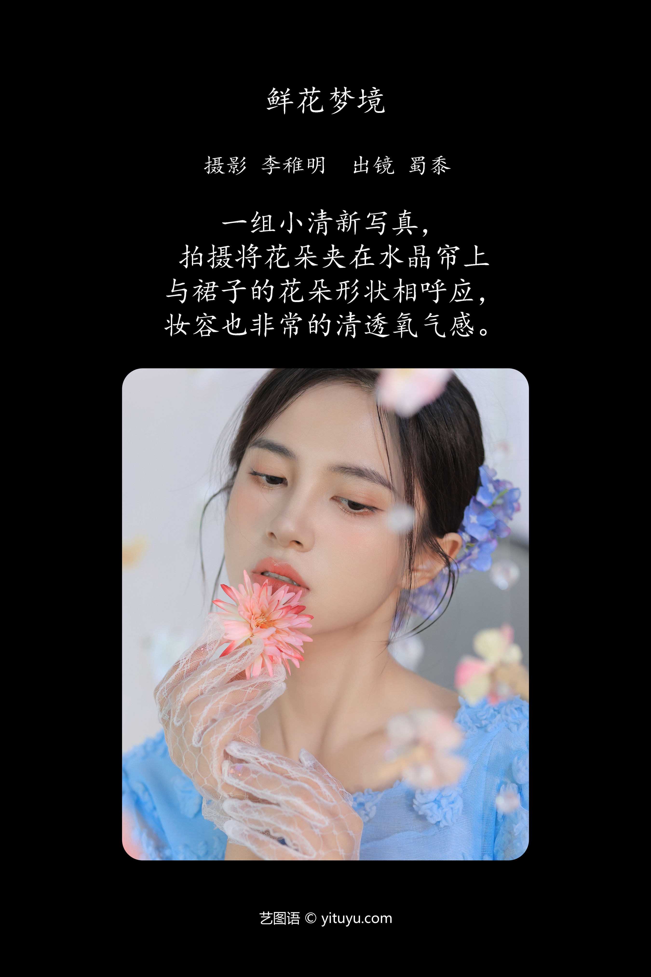 鲜花梦境的奇幻奥秘。