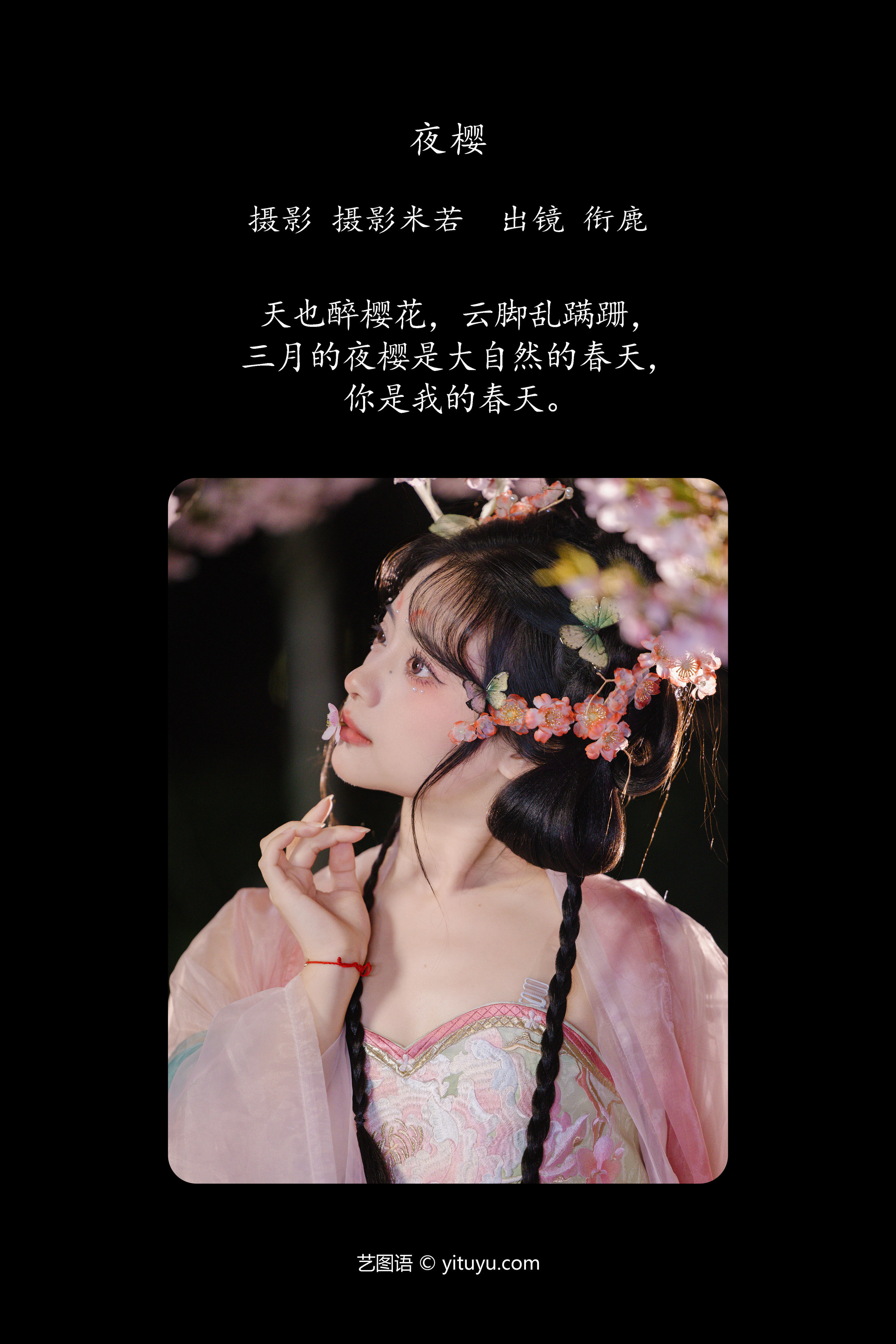 夜樱之美：绚烂樱花夜，浪漫至极致