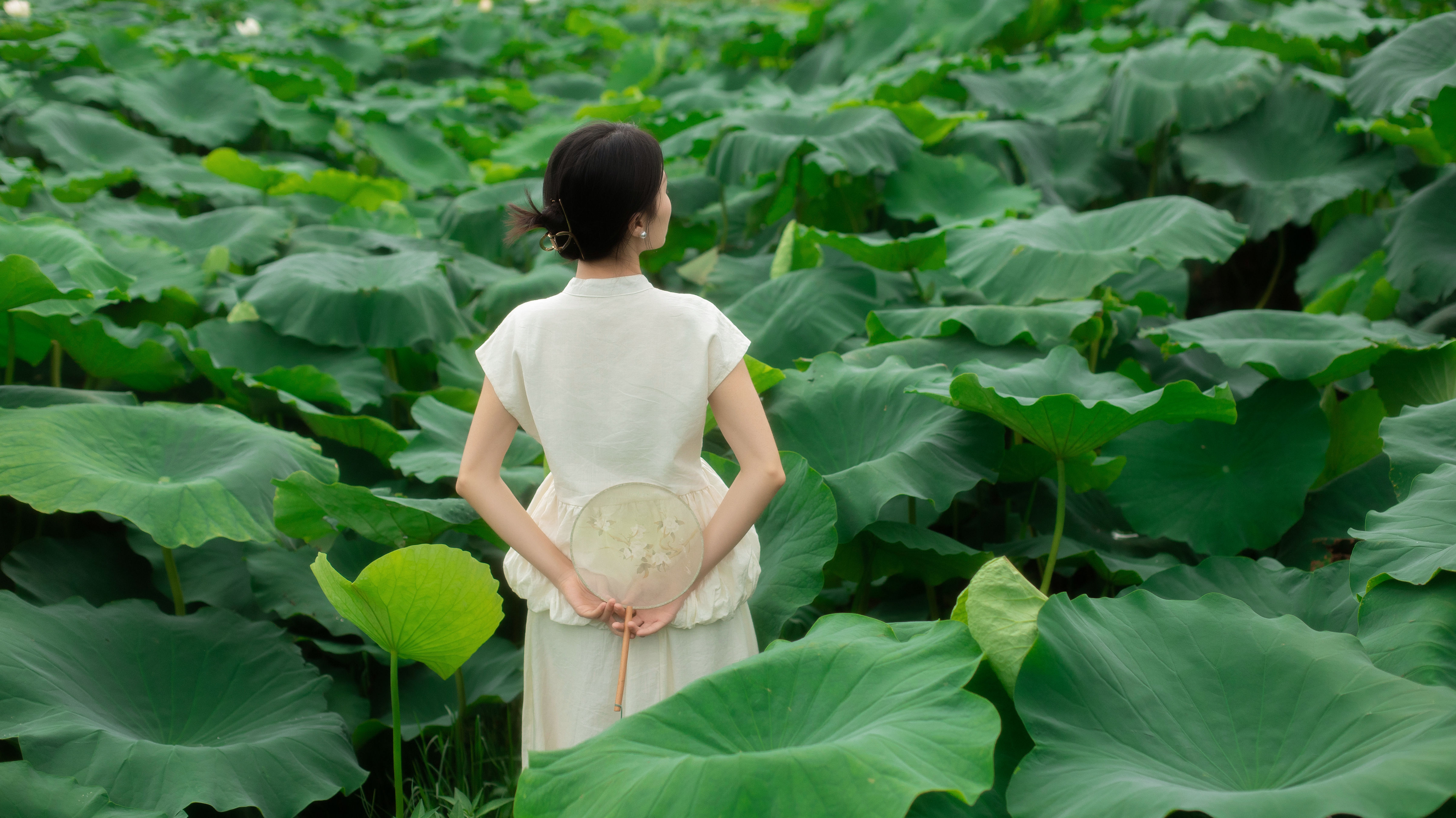 夏日荷韵舞动莲香，湖光倩影醉人心扉。