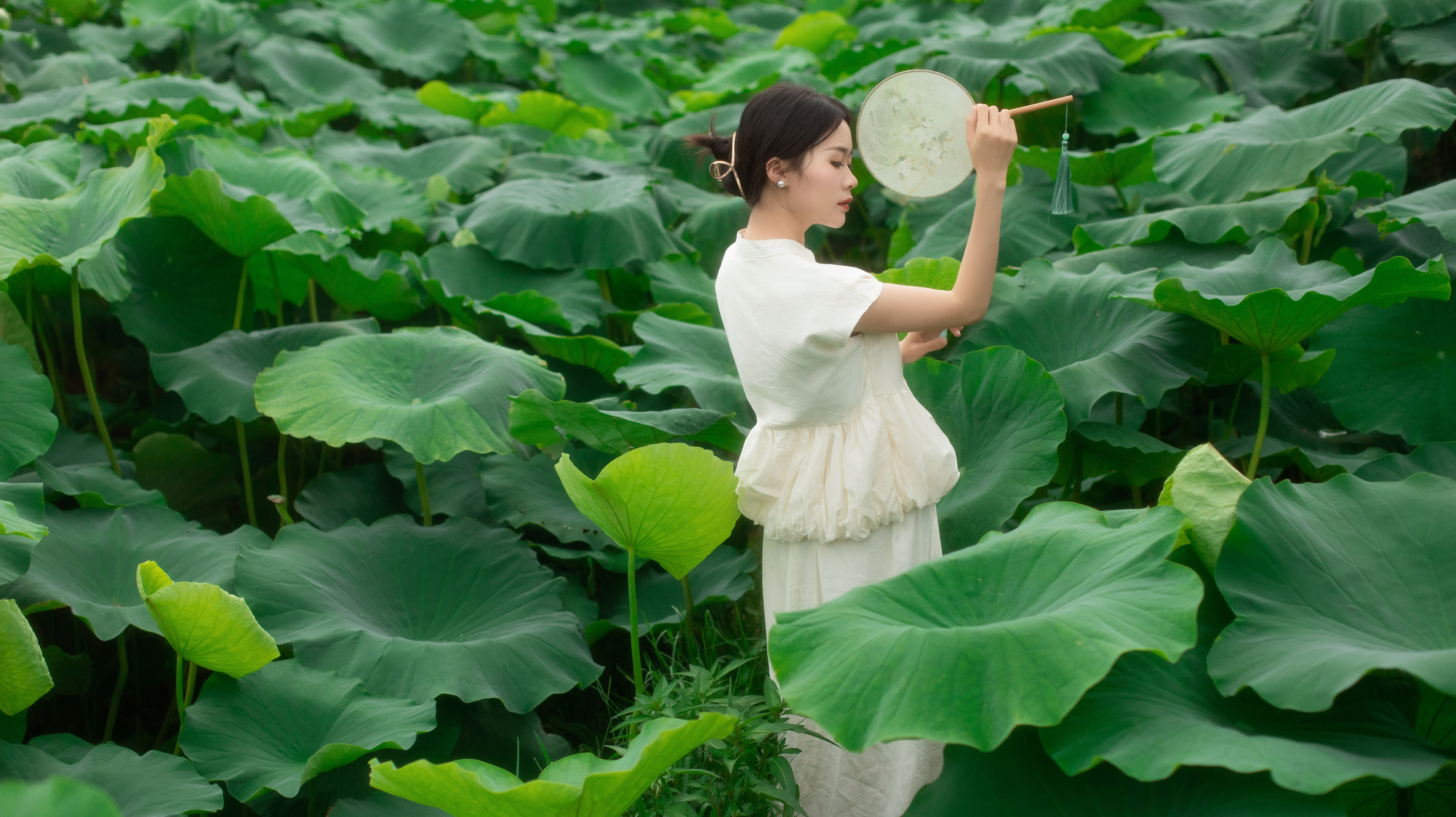 夏日荷韵舞动莲香，湖光倩影醉人心扉。