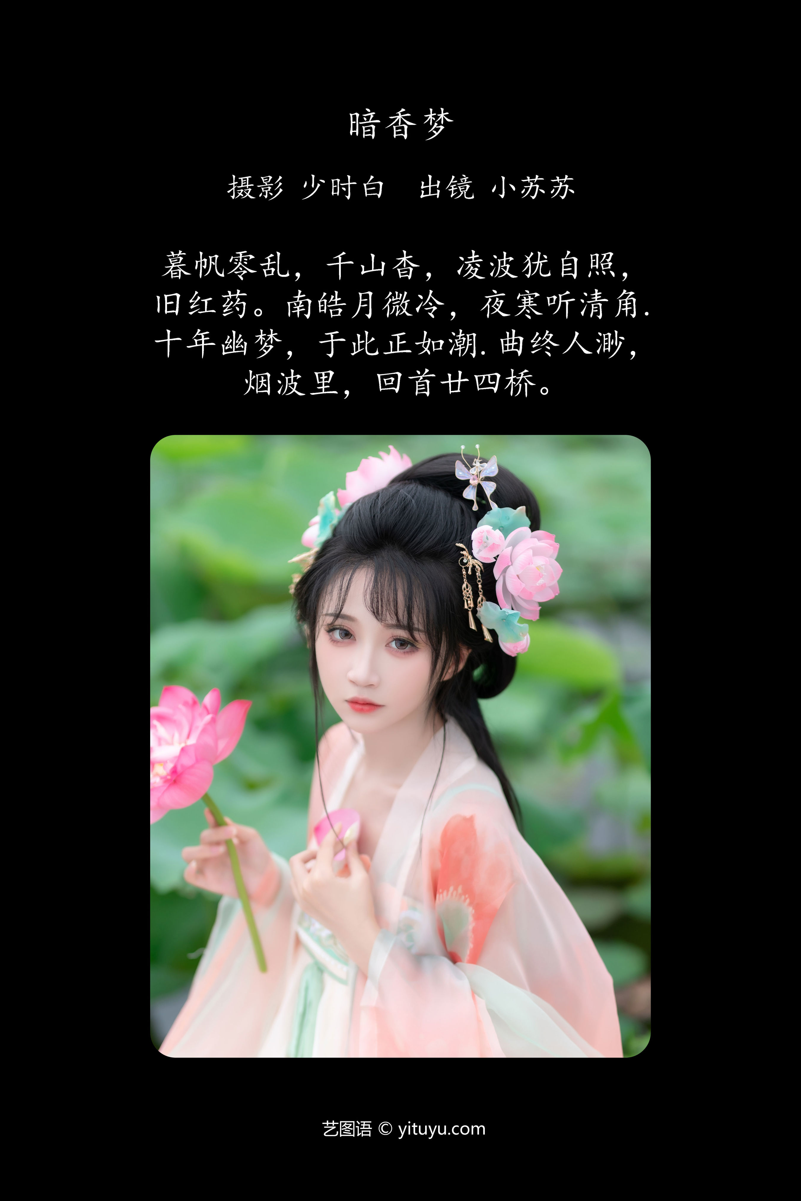 暗香之梦：寻梦路上隐逸花香。