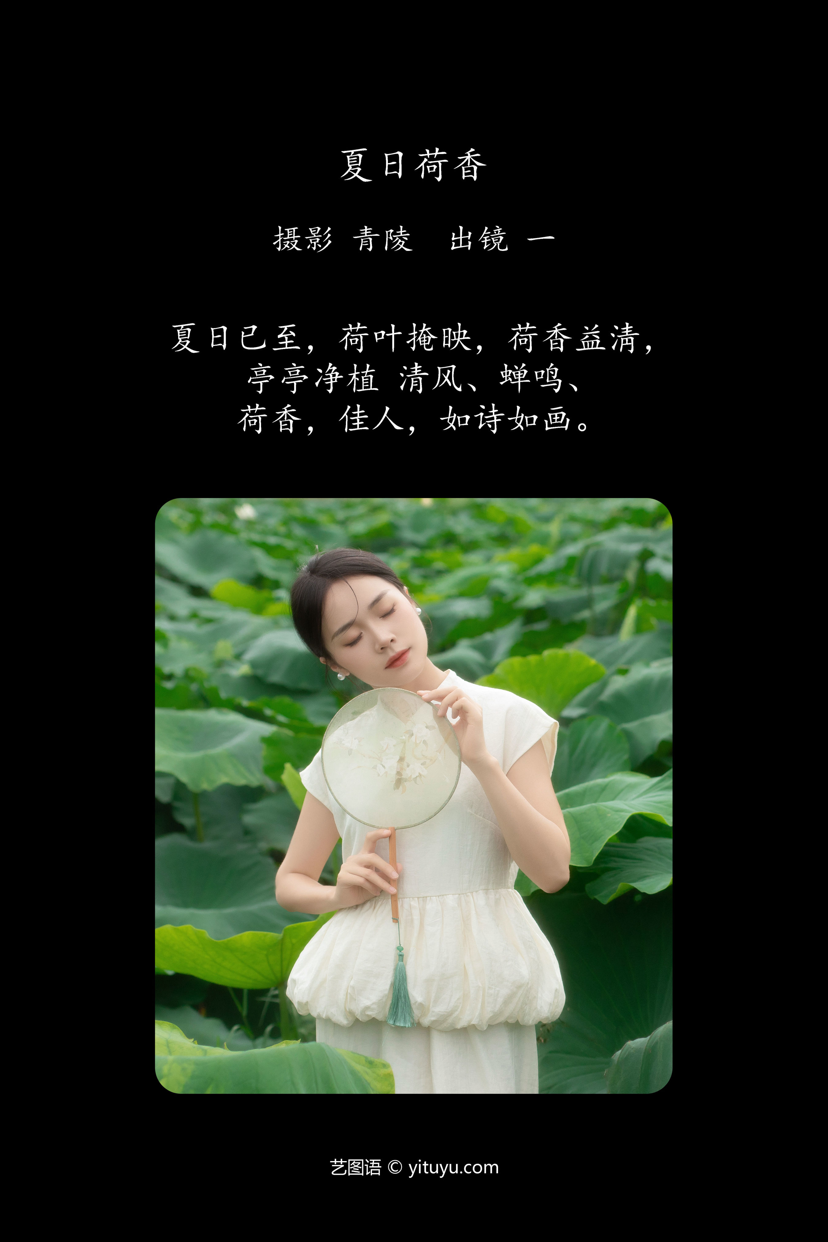 夏日荷韵舞动莲香，湖光倩影醉人心扉。