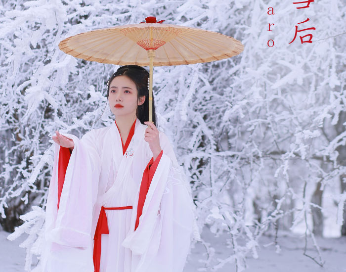 "山中雪后，银装素裹，幽径独行觅清寒"