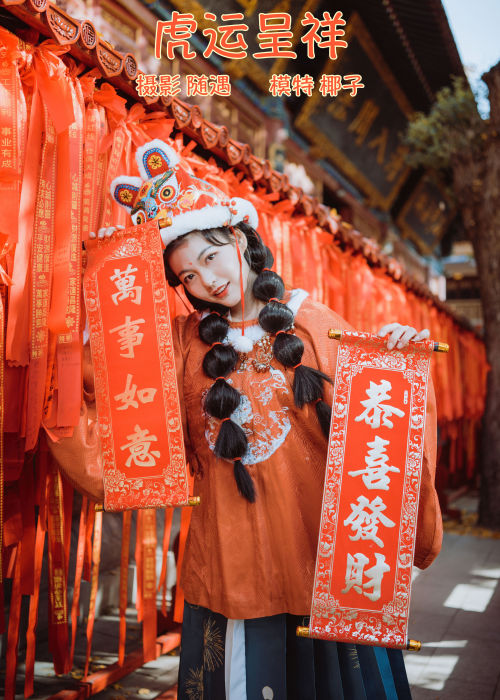 "虎啸风生，运启祥瑞，云锦织梦，古韵悠长岁月篇"