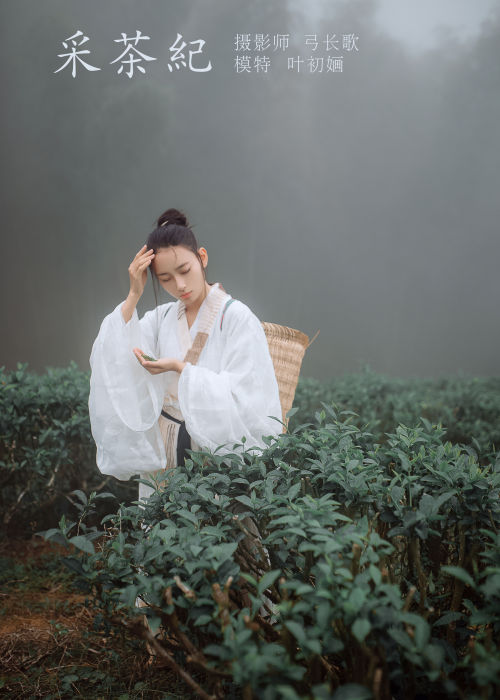 "茶山谣·采茶纪，烟雨朦胧润绿绮，指尖轻舞春意浓。"