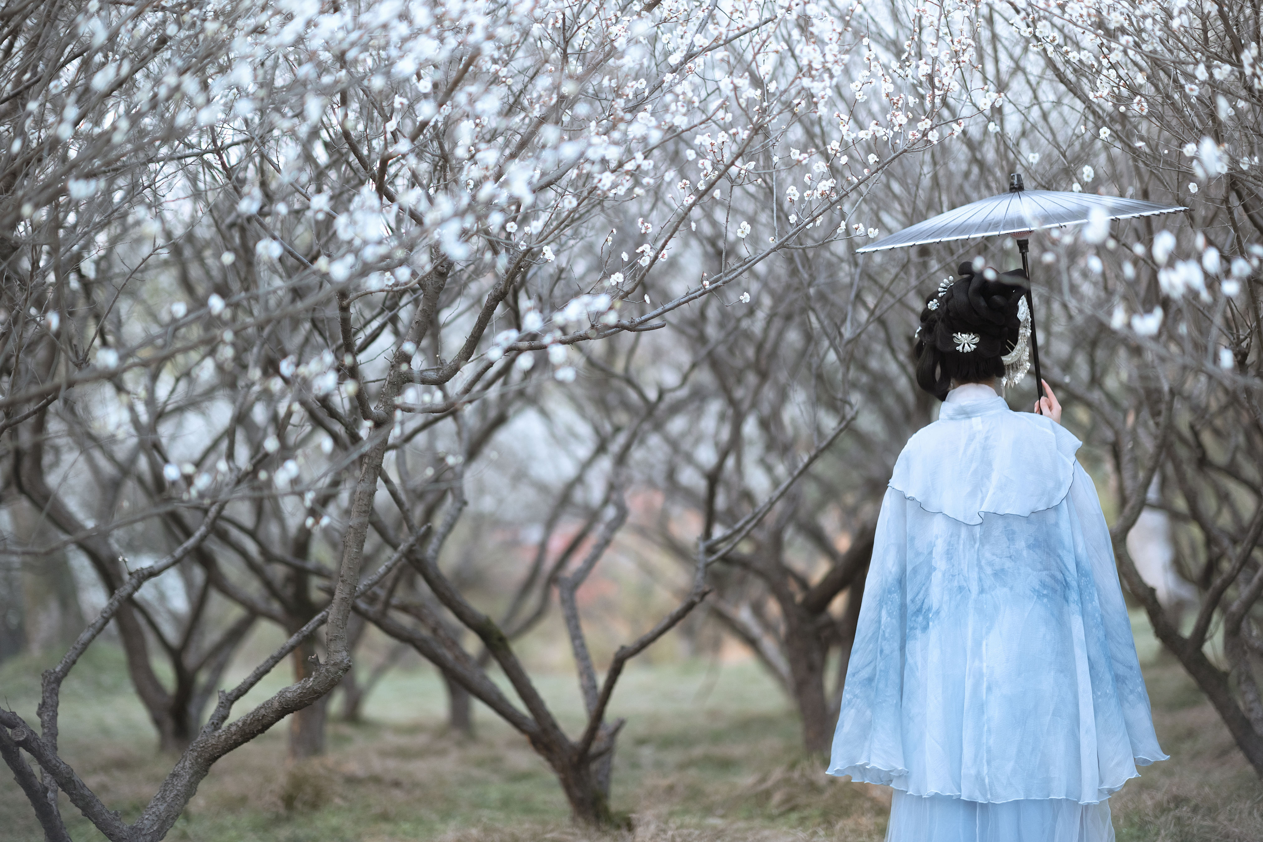 傲雪梅香映寒月，独绽芳华映古松。