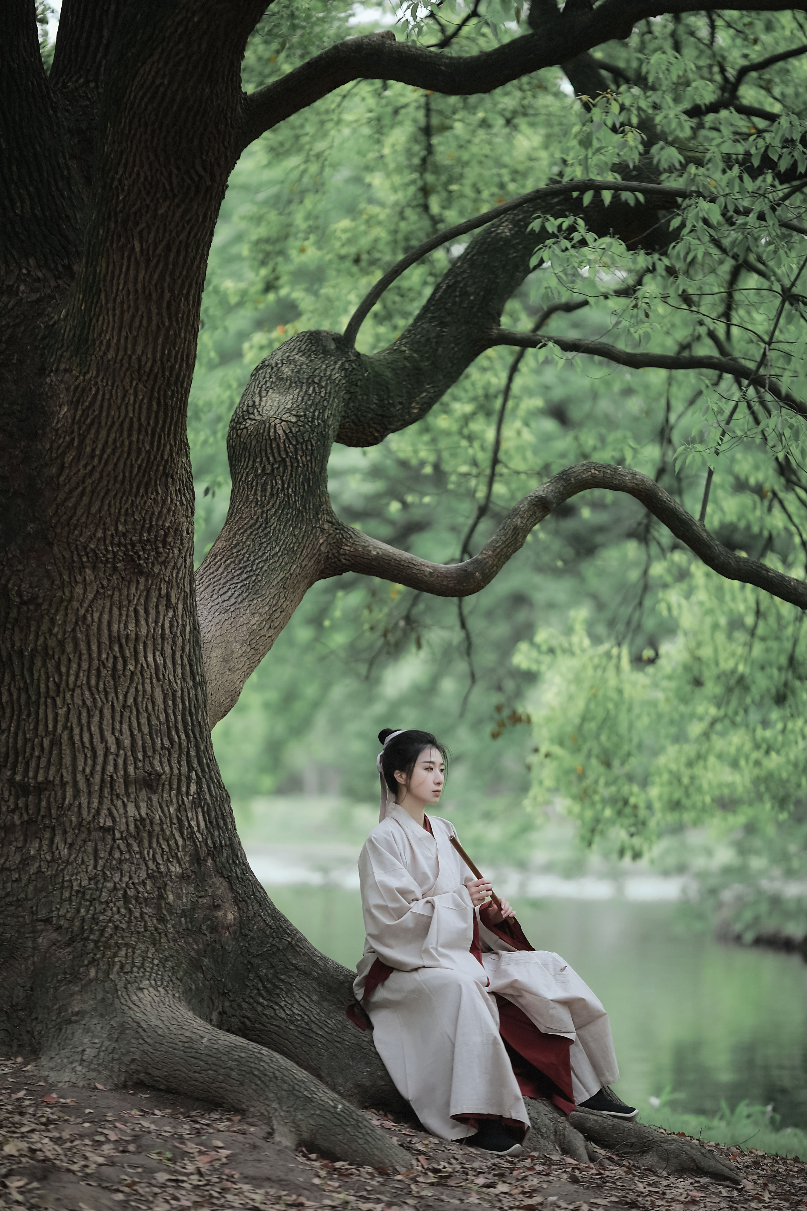 山居隐士逸世情，松风竹韵伴闲行，云深不知处，心远地自宁。