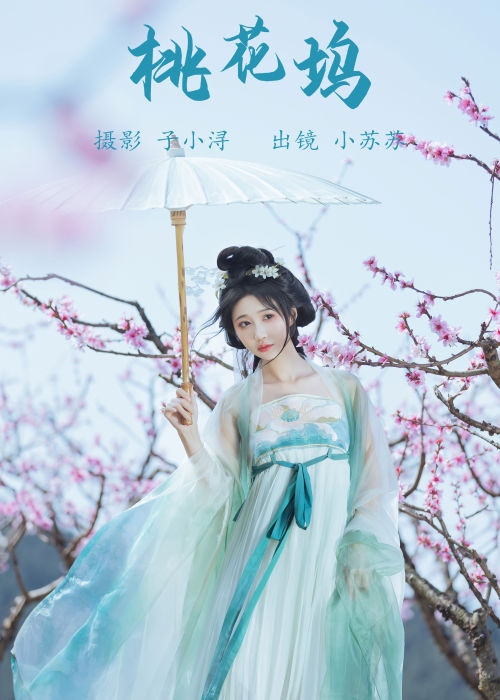 "桃花坞里春意浓，古风雅韵醉芳容。"