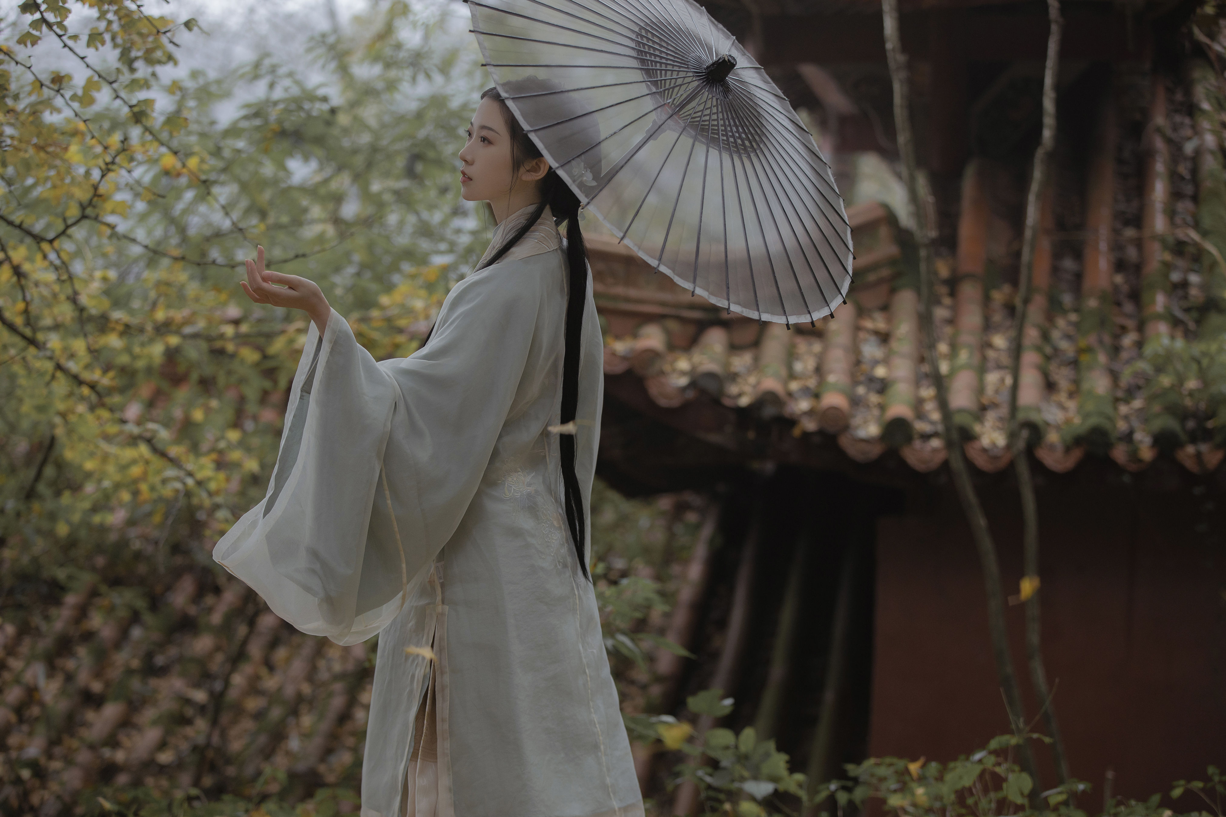 念及往昔岁月长，梦回江湖烟雨茫。