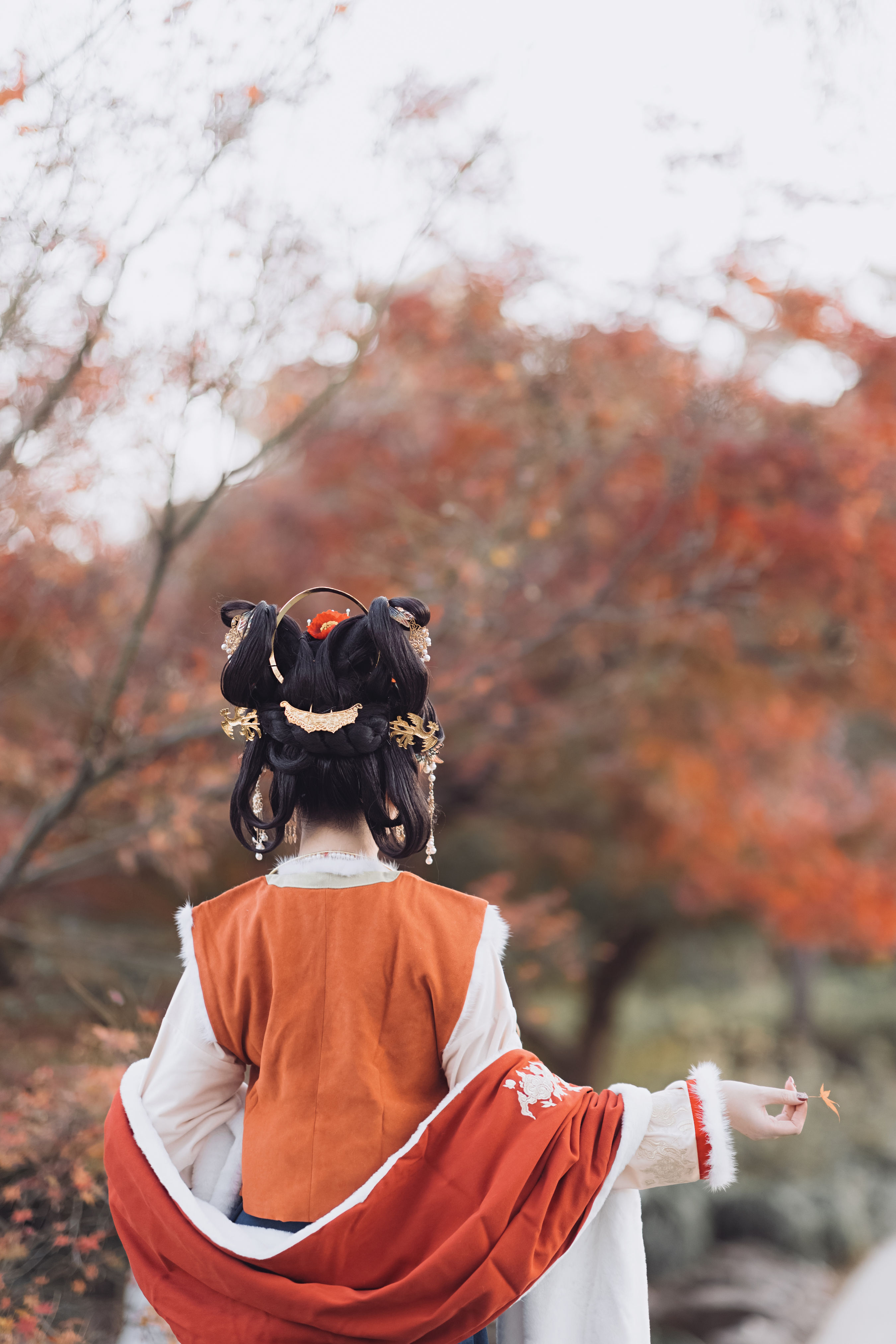 丹枫映晚秋，秋思漫古道，寂寥行旅间