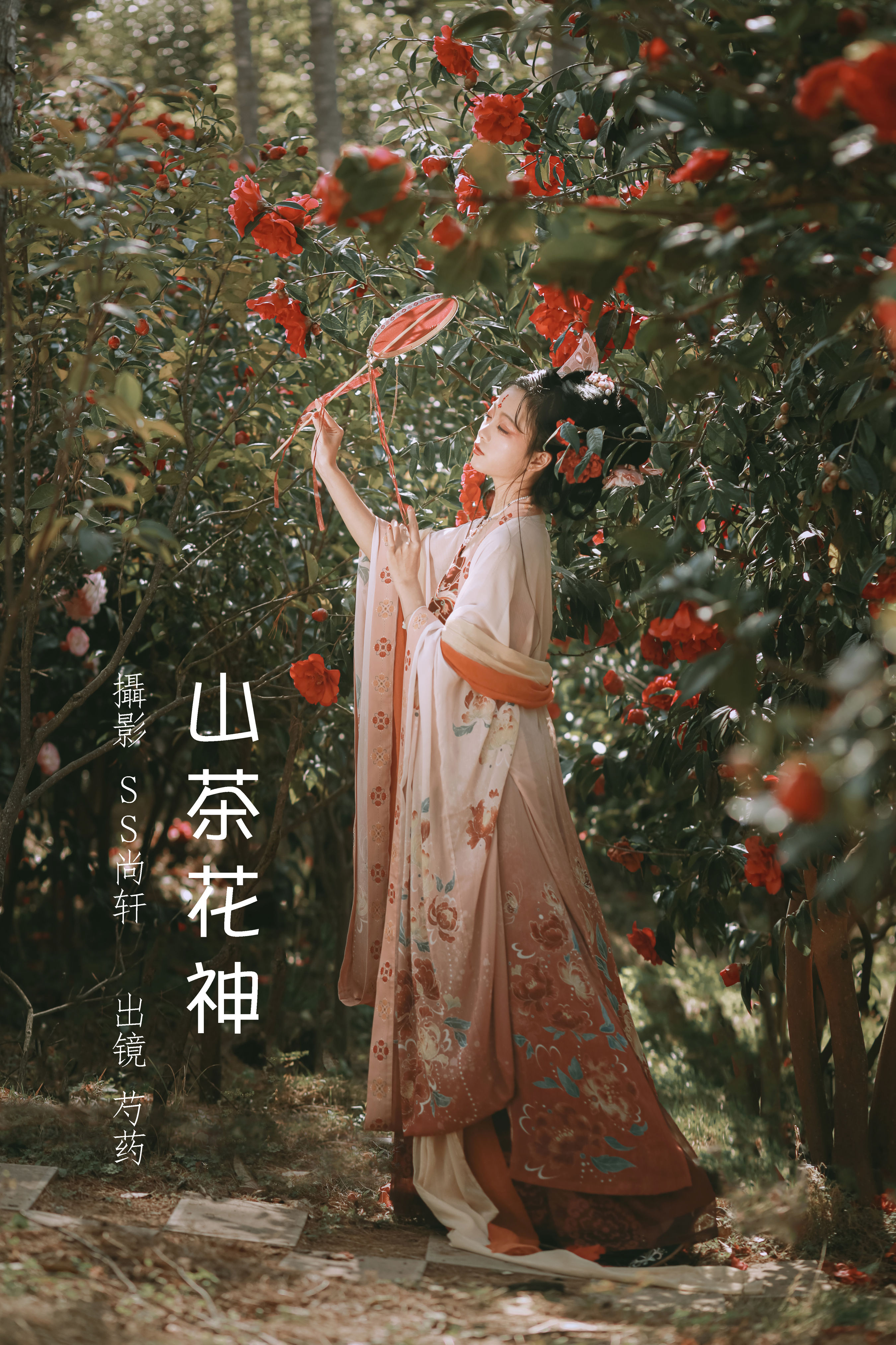 山茶花神韵，独舞春光里，雅韵绕梁间。