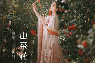 山茶花神韵，独舞春光里，雅韵绕梁间。