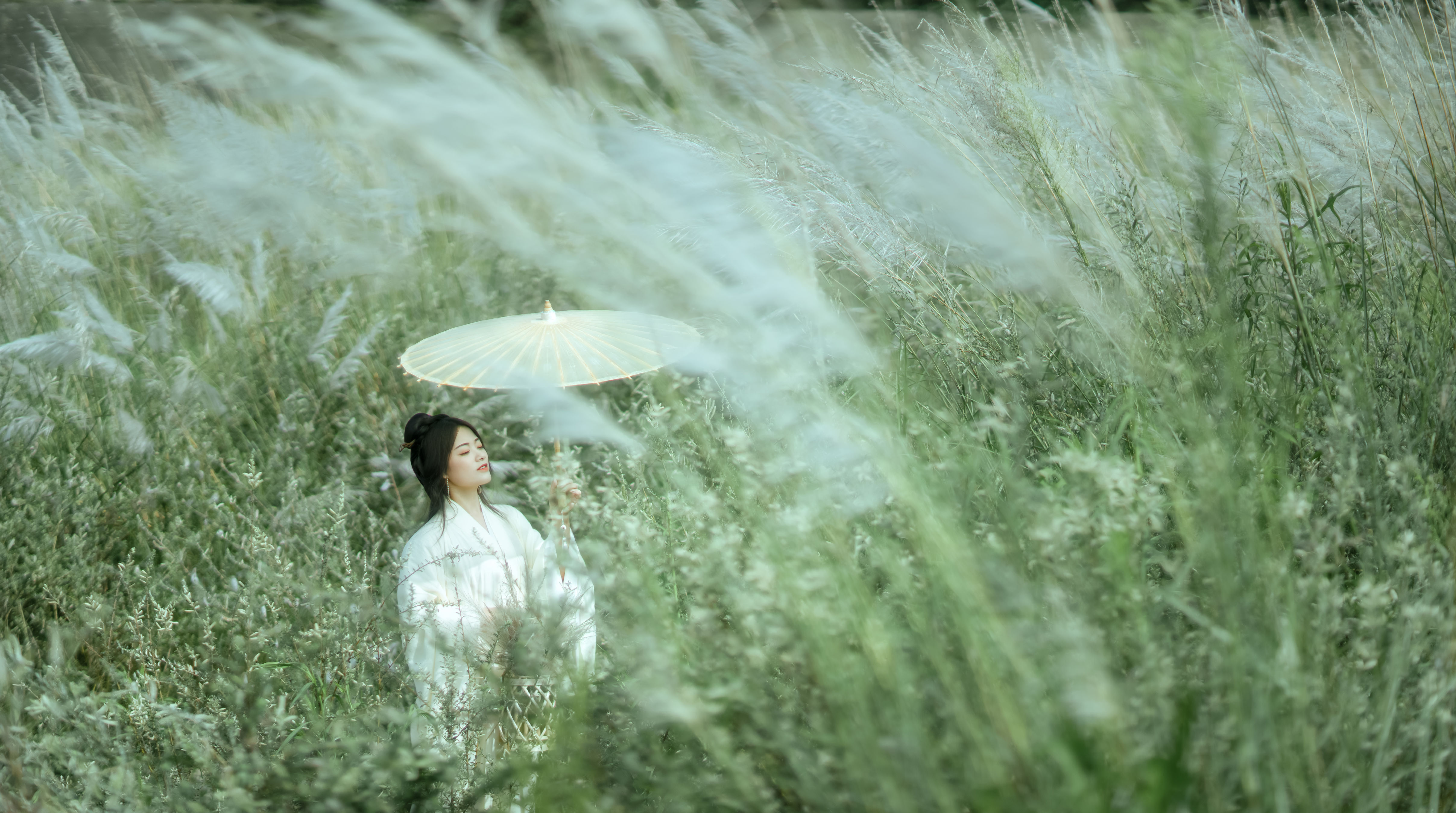 芦花漫天舞秋意，水岸风清映晚晴。