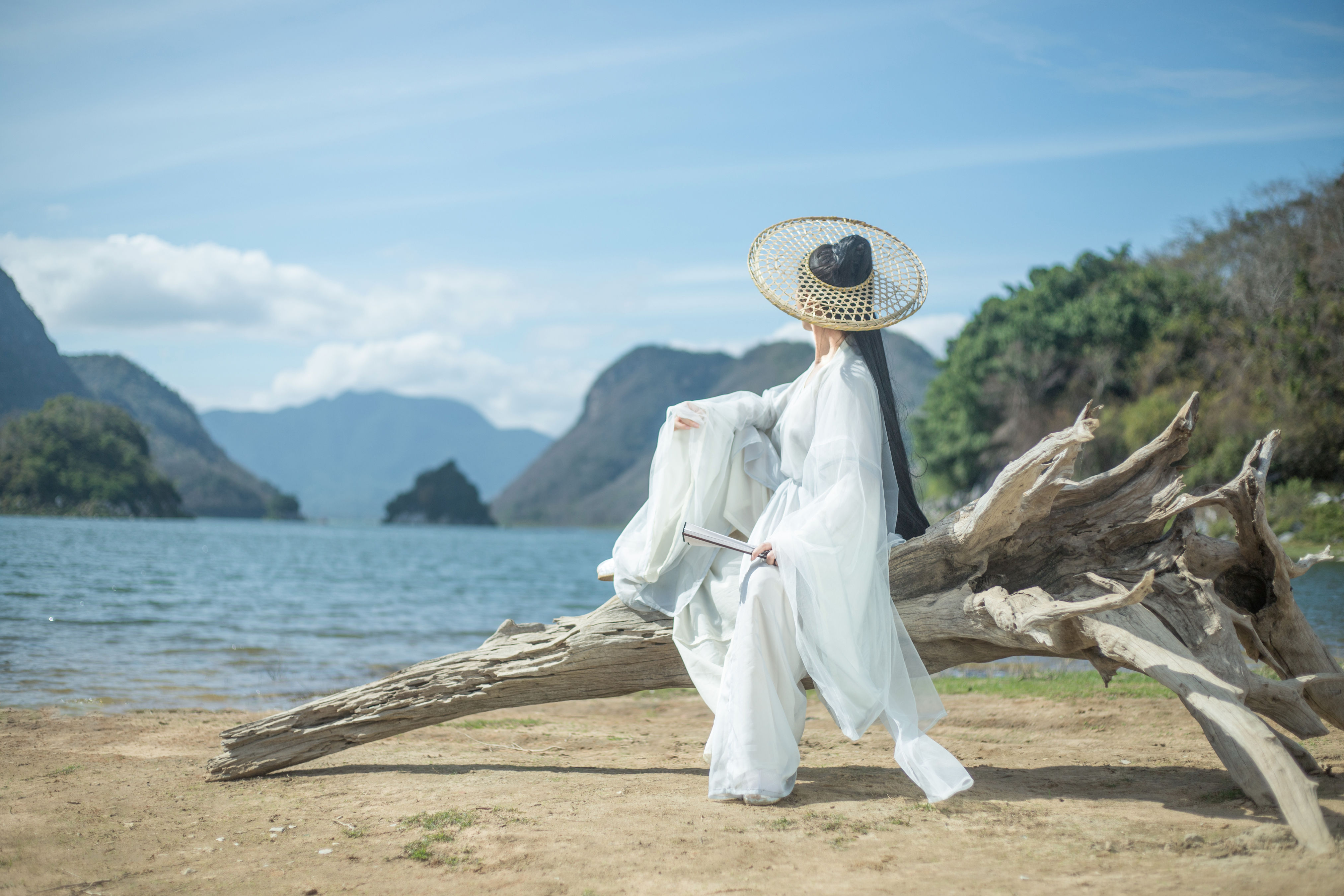 剑影江湖侠客行，风云再起荡乾坤。