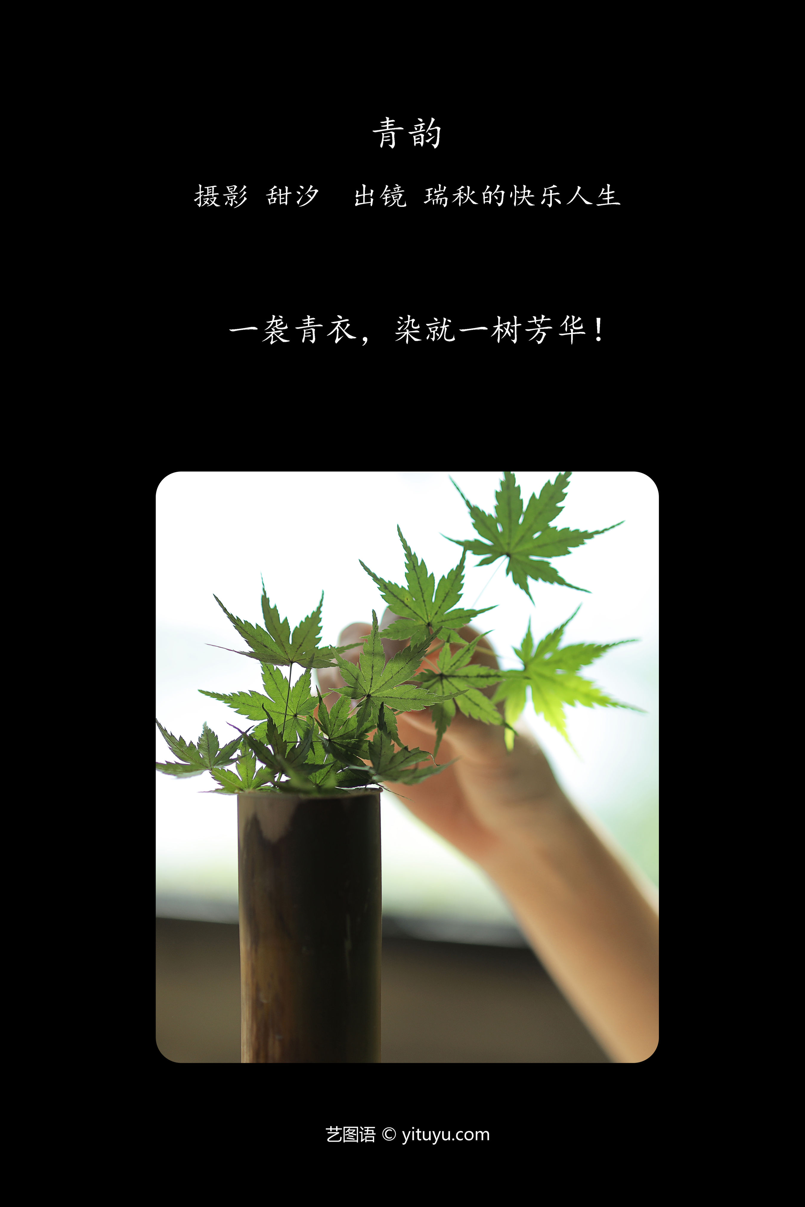 青韵绕梁梦回时，月下抚琴思故人，古意绵绵情难禁。