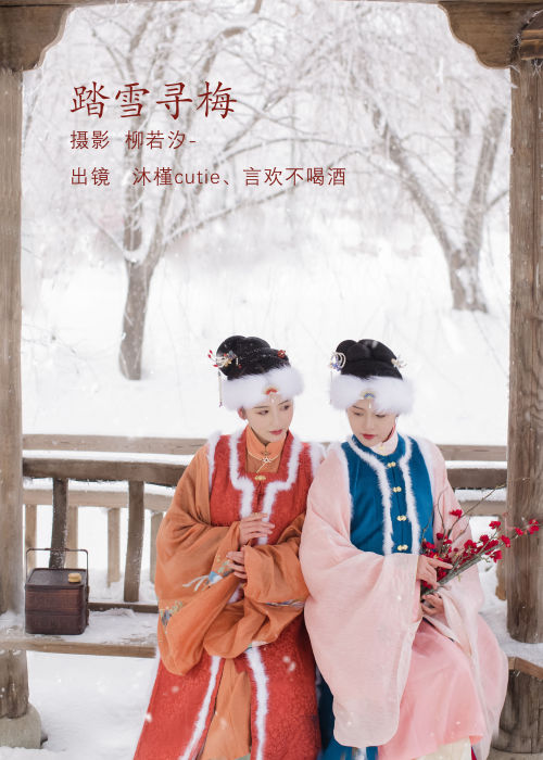 "雪域苍茫踏梅影，寻香古道觅芳踪"