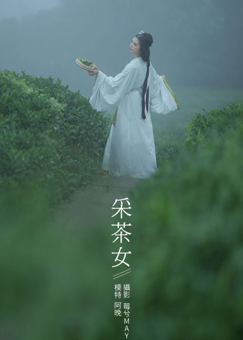 "翠谷采茶女，轻纱曼舞间，绿指撷春韵。"