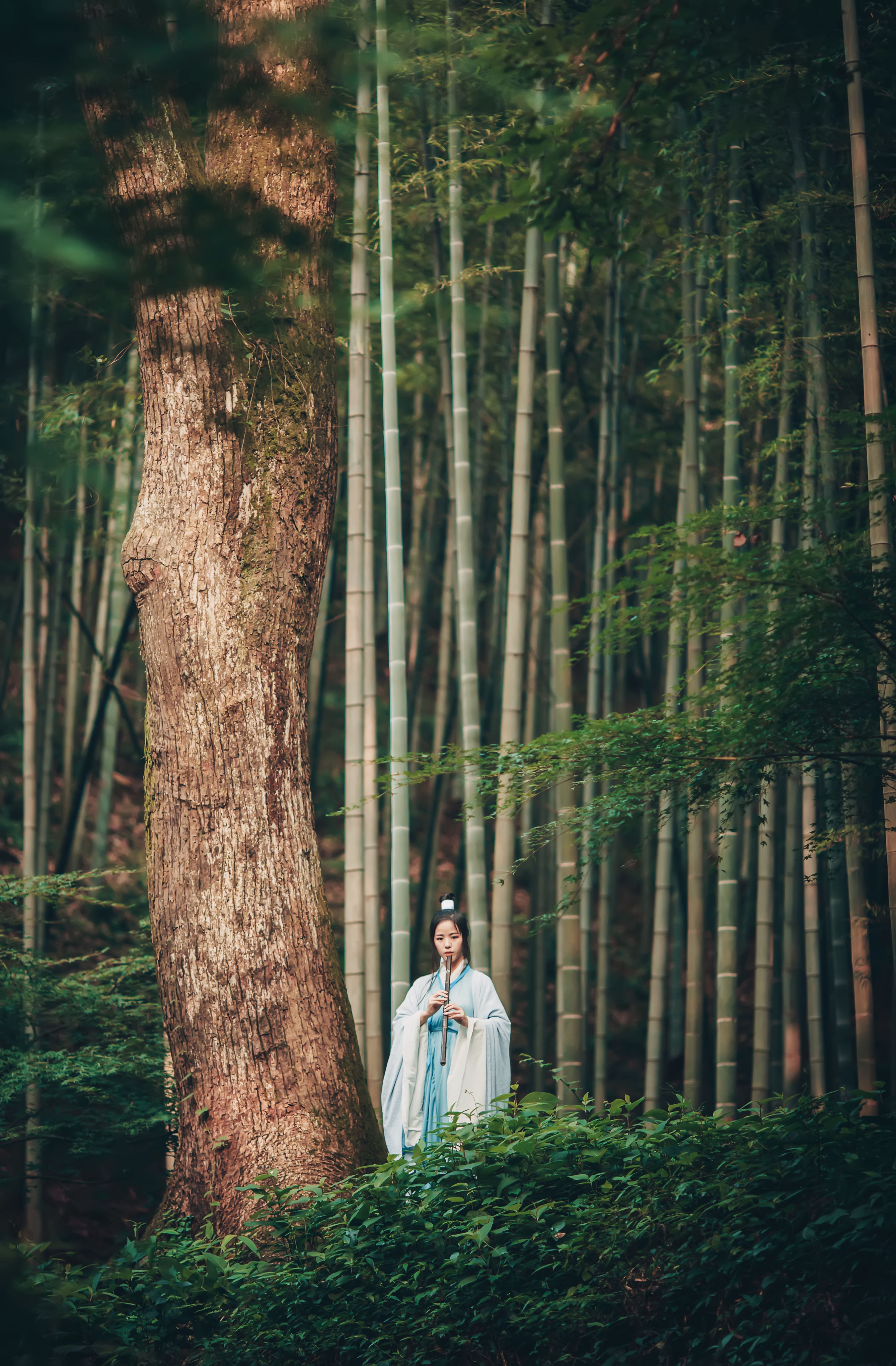 江湖边，烟雨朦胧，剑影刀光映水寒。