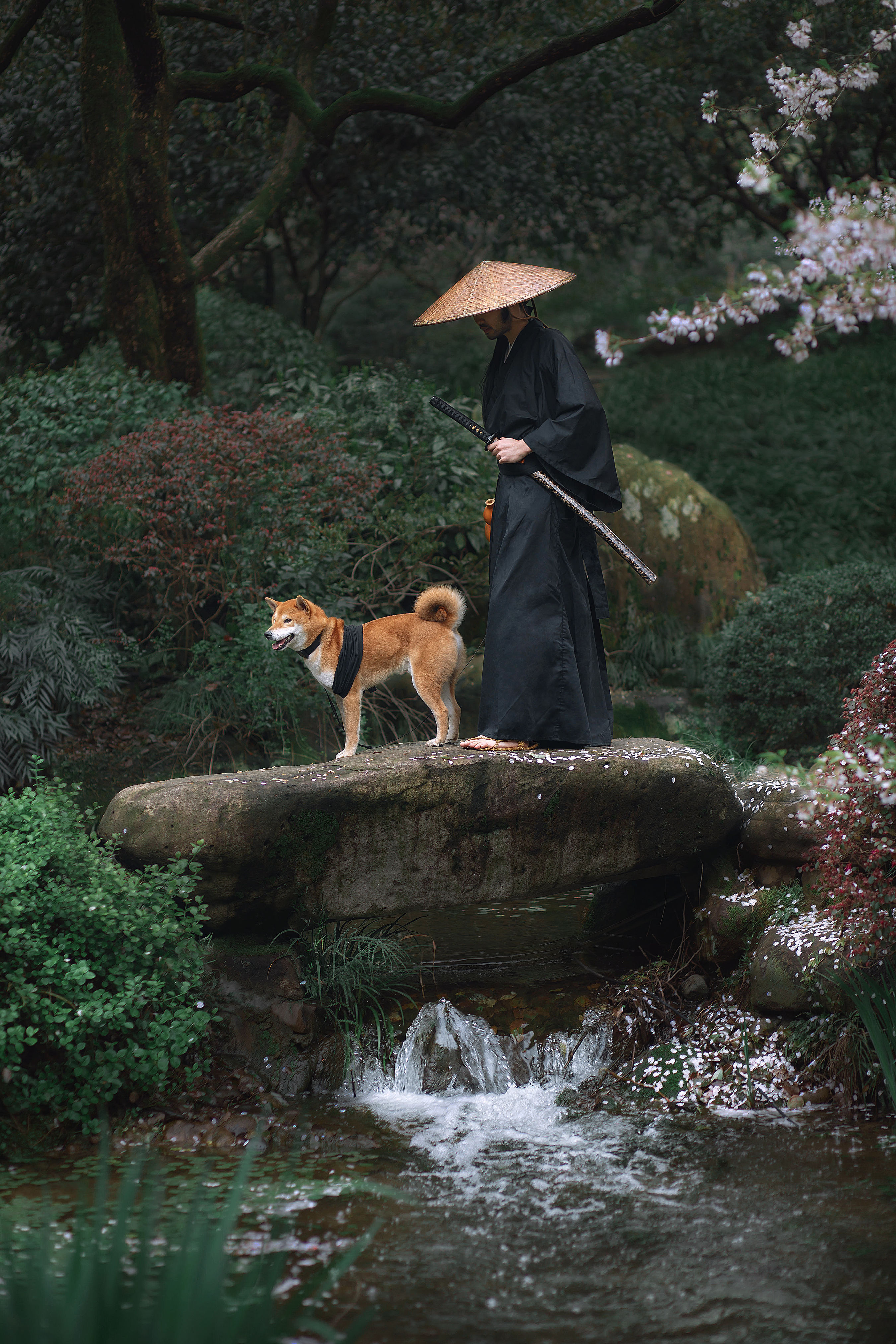 犬侍守夜月下门，古风雅韵护家魂。