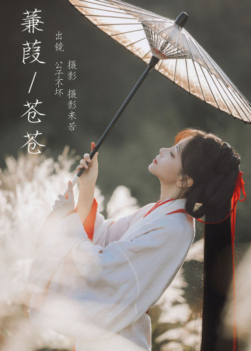 "蒹葭苍苍，水畔情长，古风悠悠，梦回千年霜。"