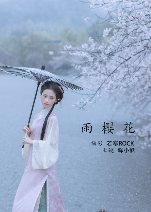 "雨落樱花漫古城，轻纱曼舞醉红尘"